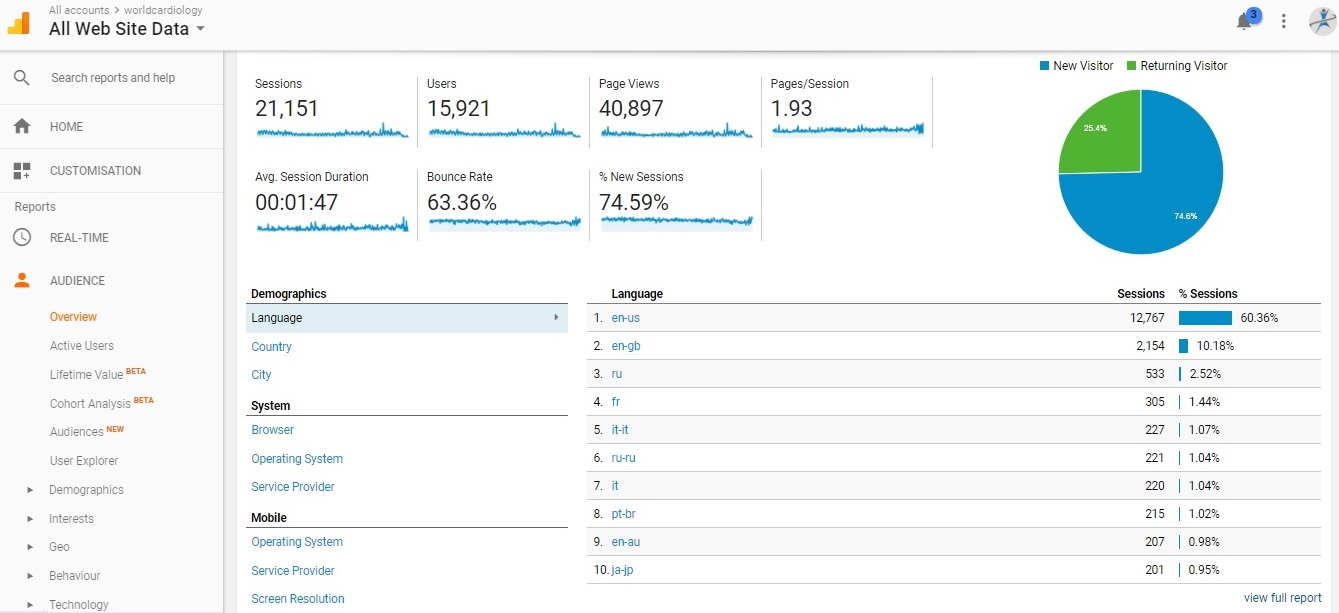 Visitor Analysis Report